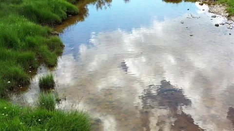 Drone Flight Over A Forest River Stock Footage 260826867
