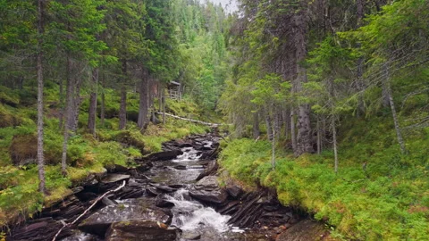 Drone Flight Over Forest River in Stor Mor Fossen, Norway Video stock 319943208