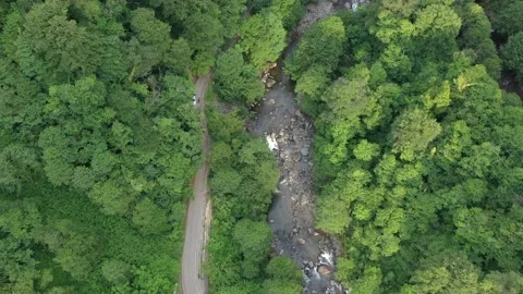 Drone flight over the forest, road and mountain river Stock Footage 151194393