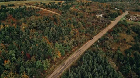 Drone Flight Over Forest, Road and House With a Truck On The Side Of The Road Stock Footage 255045440