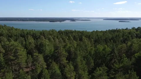Drone flight over a forest in Sweden Video stock 261540688