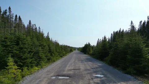 Drone Flight Over Forest Trail Stock Footage 253267309