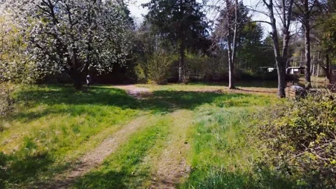 Drone Flight Over Forest Trail Leading to a Small Lake Stockbeeldmateriaal 306551152