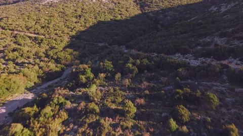 Drone Flight Over Forested Mountain Dirt Road in Greece Stock Footage 337864726