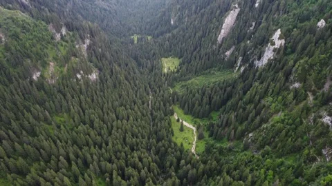 Drone flight over forested valley near Cabana Malaesti Stock Footage 313673284