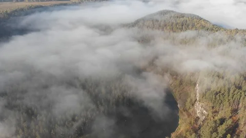 Drone flight over gentle mountain river, pine forest, clouds. Camera tilts down. 動画素材 101626812