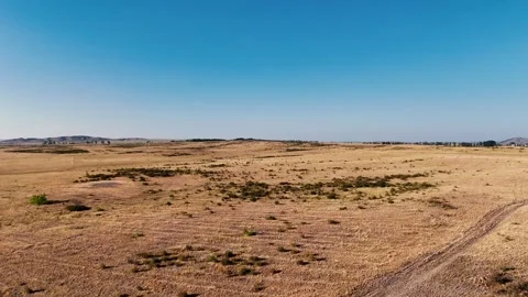 Drone flight over a golden field; location: Altai Krai. Stock Footage 345036810