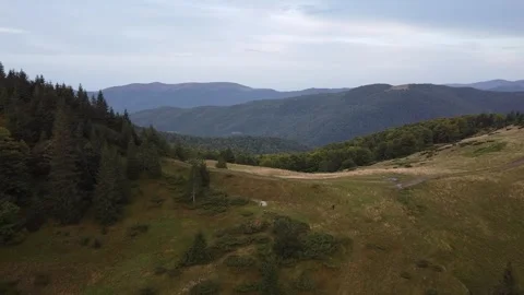 Drone Flight Over Golden Mountain Ridge and Forested Valleys in Autumn Stock Footage 342930352