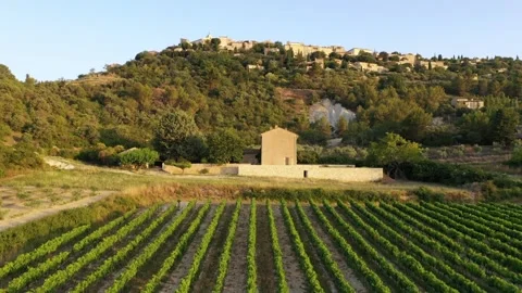 Drone flight over a grape vine field towards Gordes, in Provence Stock Footage 255506191