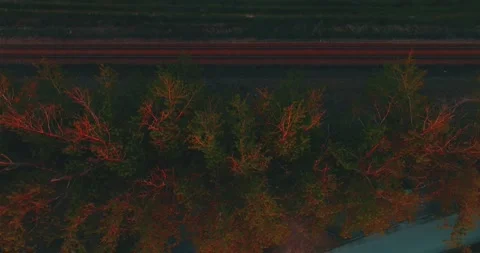 Drone flight over grass, nature at sunset. Top view of the small town, trees  Stock Footage 189853725