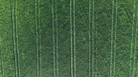 Drone flight over green agricultural field in rural countryside landscape Stock Footage 335070040