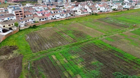 Drone Flight Over Green Crop Fields Stock Footage 321617335