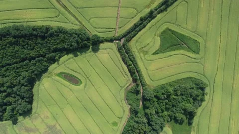 Drone flight over green field with twisted lines and curved shapes Stock Footage 202040464