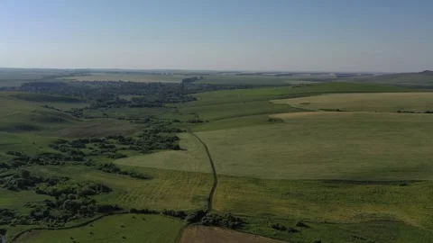Drone flight over green field and forest Stock Footage 249444201