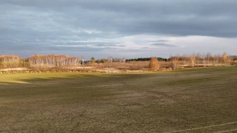 Drone Flight Over Green Field Towards Autumn Forest Line at Sunset Stock Footage 323330756