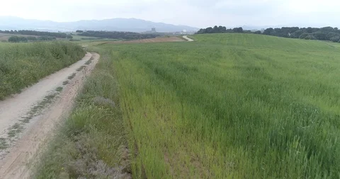 Drone flight over green fields towards city in the background Stock Footage 90494894