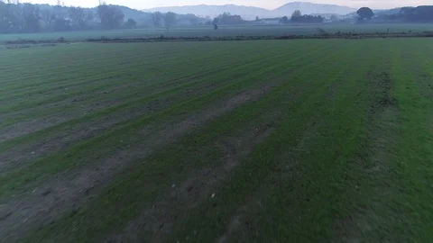 Drone flight over green fields Video stock 99203731