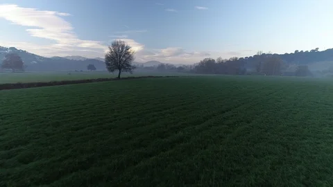 Drone flight over green fields Stock Footage 99203753