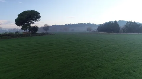 Drone flight over green fields Video stock 99203760