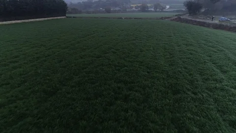 Drone flight over green fields Video stock 99203764