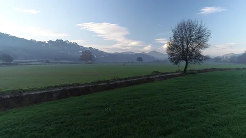 Drone flight over green fields Video stock 99203767