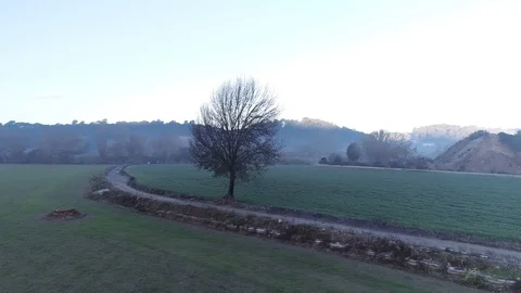 Drone flight over green fields Video stock 99203785