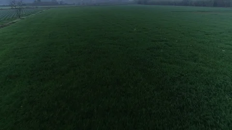 Drone flight over green fields Video stock 99203898