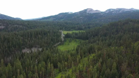 Drone flight over green flat valley in Volcanic National Park Stock Footage 143739675