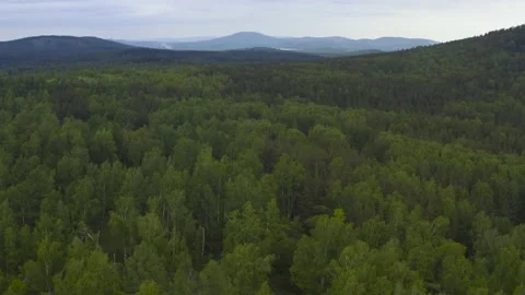 Drone flight over green forest and hills on a background. Video stock 134773609