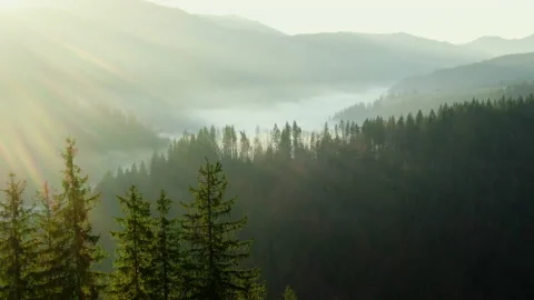 Drone flight over green forests and misty valley between rugged mountain peaks Stock Footage 132002130