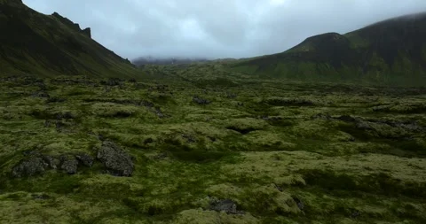 Drone Flight Over Green Mossy Lava Field and Mountains Iceland Stock-Footage 334418447