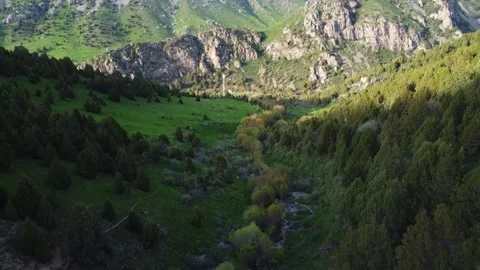 Drone Flight Over Green Mountain Glade. Kazakhstan, Sayram-Ugam Park Stock Footage 332943476