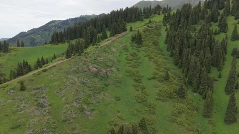 Drone flight over a green mountain slope Stock Footage 345388531