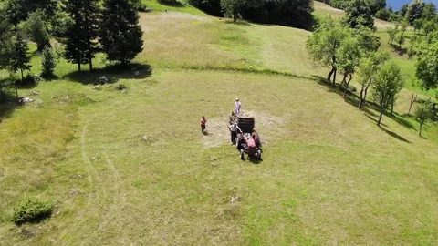 Drone flight over a group of farmers in Dolomite mountains Stock Footage 112333261