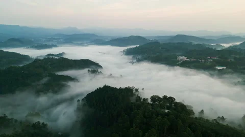Drone flight over Haputale mountains, clouds blanket lush highlands at dawn Stock Footage 274541513