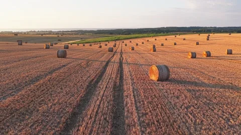 Drone flight over hay bales in harvested field, Isle of Wight at sunset Stock-Footage 336279102