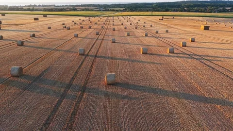Drone flight over hay bales in harvested field, Isle of Wight at sunset Stock Footage 336279103
