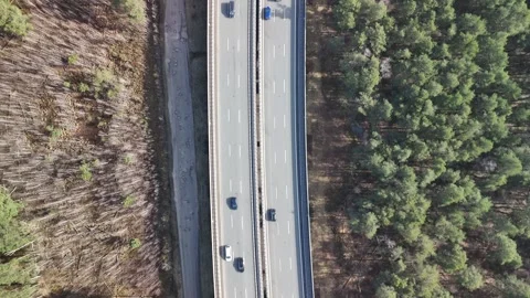 A drone flight over a highway in the middle of the forest. Stock Footage 304689558
