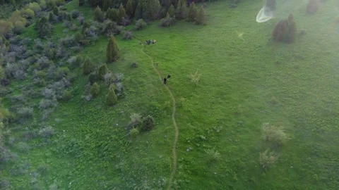 Drone Flight Over Hikers In Mountain Meadow. Kazakhstan, Sayram-Ugam Park Stock Footage 332943590