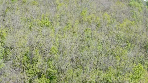 Drone flight over the hill with the plain behind the hill Stock Footage 129064877