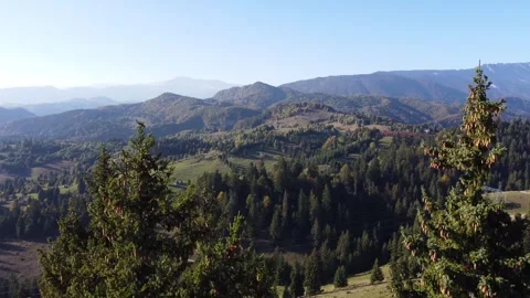 Drone flight over hills and trees in Transylvania Stock Footage 314212236