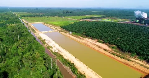 Drone Flight Over Irrigation Pond, Palm Oil Mill and Lush Tropical Plantation Видео 329056939