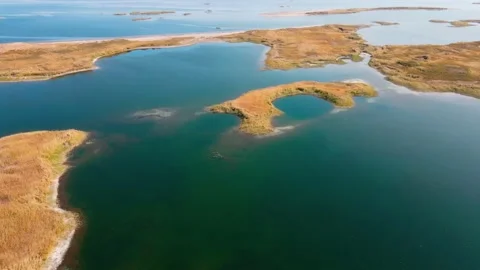 Drone flight over the islands covered with reeds Stock Footage 220758084