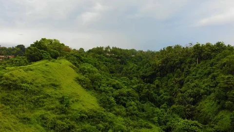 Drone Flight Over Jungle Stock Footage 108259699