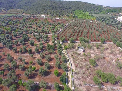Drone Flight over the land in the summer Stock Footage 72470494