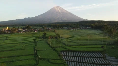 Drone flight over landcape of mount, volcano Semeru, Jawa. Indonesia on a sunris Stock Footage 260146363