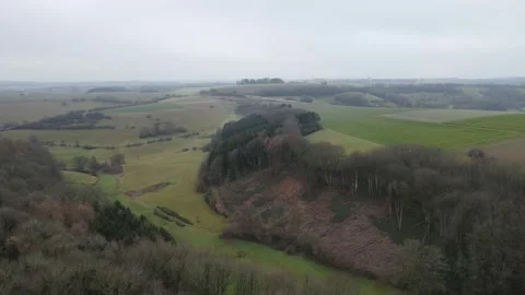 Drone flight over a landscape with trees and grass fields in winter Stock Footage 251819098