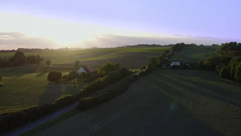 Drone flight over large meadows past houses. The sun is setting in the Stock Footage 163089234