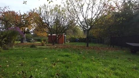 Drone Flight Over Lawn Видео 221191375