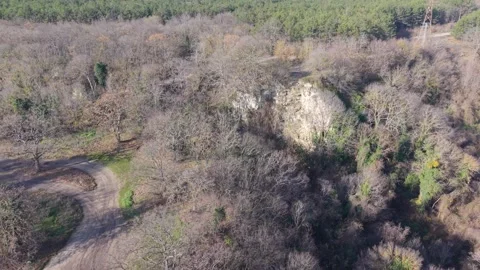 Drone Flight Over Leafless Forest With Green Patches Stock Footage 324889731
